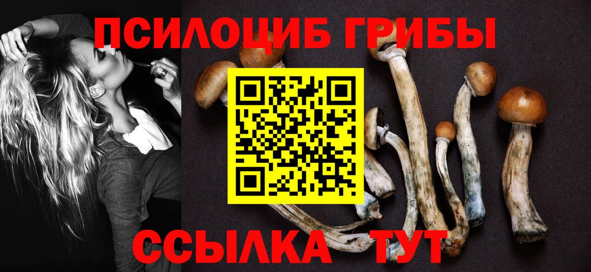 сколько стоит  Псилоцибиновые грибы мухоморы  Вход с VPN  Георгиевск 