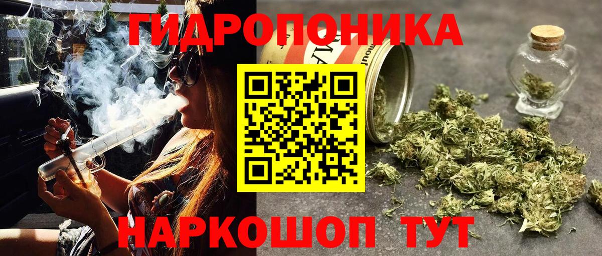 МАРИХУАНА планчик Георгиевск